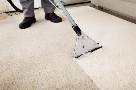 carpet cleaning bloomington il