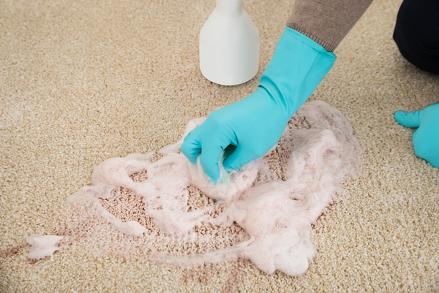 carpet cleaning bloomington il