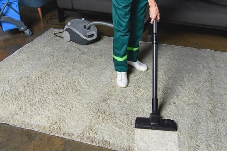 Bloomington Carpet Cleaning Illinois